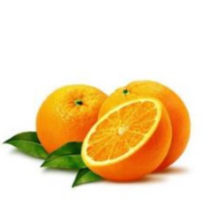 orange-oil-bitter-img (1)